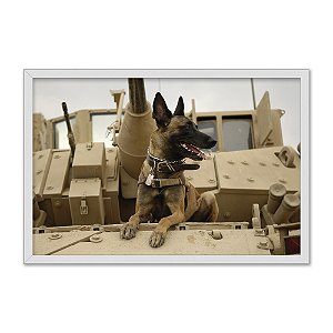 Quadro Decorativo Pastor Alemão Soldado Em Um Tanque De Guerra