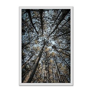 Quadro Decorativo FlorestaVista Por Baixo