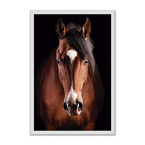Quadro Decorativo Animal Cavalo Marrom Alazão