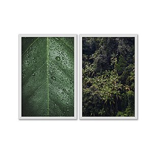 Kit Dois Quadros Decorativos Folha e Floresta Verde