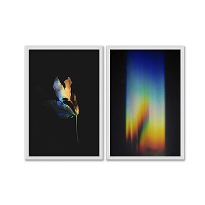 Kit Dois Quadros Decorativos Dispersão Da Luz Sobre Uma Flor E Uma Parede