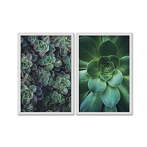Kit Dois Quadros Decorativos Suculentas Verdes