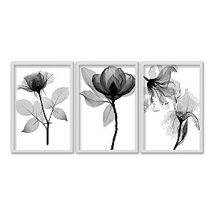 Kit 3 Quadros Decorativos Fotografia Preto E Branco Flores e Suas Folhas