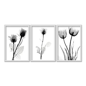 Kit 3 Quadros Decorativos Fotografia Preto E Branco Tulipa E Suas Folhas