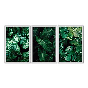 Kit 3 Quadros Decorativos Plantas Verde Com Folhas Grandes Natureza