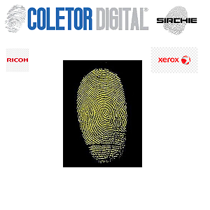 Pó Magnético Fluorescente YELLOW ll605 (5gramas)