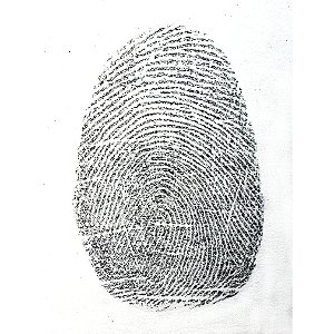 Pó magnético prateado para impressão digital (5gramas) BMP119 sirchie