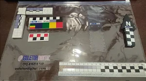Locação de Kit de Campo Forense - Escalas Arqueológicas Fotográficas.