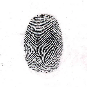 Pó Magnético Preto Forense para Impressões Digitais – 400 g