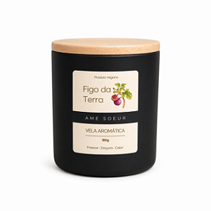 Vela Aromática de Figo da Terra 180g – Âme Soeur