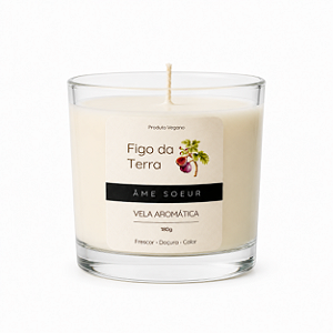 Vela Aromática Figo da Terra 180g