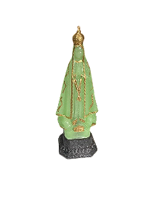 Ns Aparecida 12 cm, florescente