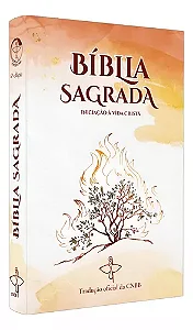 Biblia Sagrada Iniciação a Vida Cristã