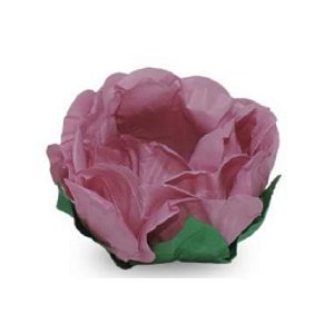 Forma Majestic Rosa Seco 30 Unidades M16