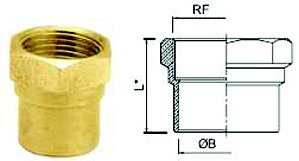 Conector Latão Fêmea Bronze Ramo B 28 RF 1"
