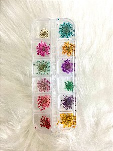 Flores secas para decoração de unhas - caixa com 12 tipos