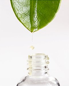 Refil -  Perfume Botanico Herbália