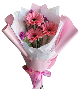 🌸💖 Ramalhete de Gérberas Rosas 💖🌸