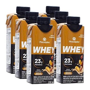 Bebida Láctea com Whey Amendoim Zero Lactose Piracanjuba 6un