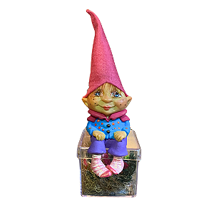 O Gnominho Guardião de seus Desejos