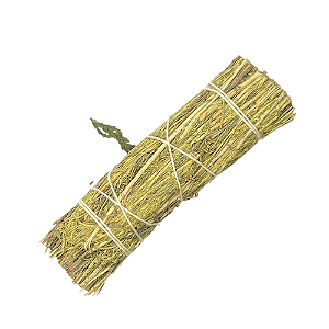 Sálvia do Deserto em Bastão