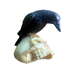 Corvo no Crânio