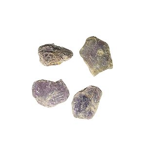 Cristal Leopidolita