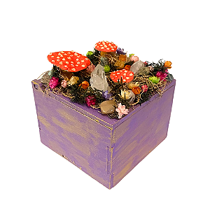 Oráculo dos Gnomos - Caixinha da Natureza