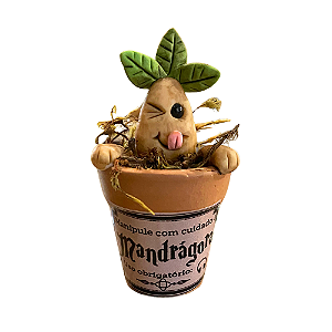 Mandrágora no Vasinho