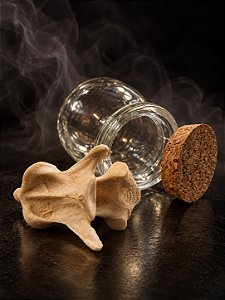 Osso Ritualístico - Vertébra Média