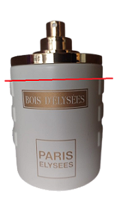 Bois D'elysées Eau de Toilette Masculino - Paris Elysees (Sem caixa, sem tampa e vazado)
