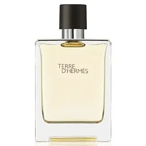 Terre D´Hermès Eau de Toilette Masculino - Hermès