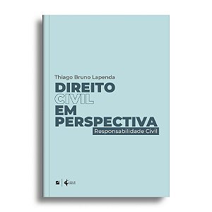 Direito civil em perspectiva: responsabilidade civil