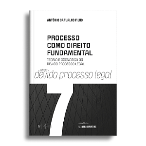 Processo como Direito Fundamental: teoria e dogmática do devido processo legal