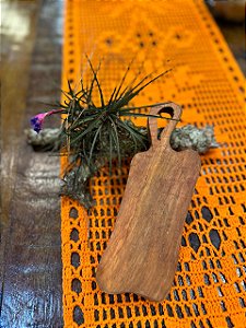 Mini tábua Camponaje 01