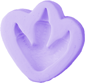 Molde Pata de  Dinossauro Pasta Americana Decoração