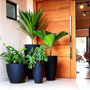 Combo de 4 vasos vietnamitas preto absoluto com plantas