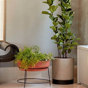 Composição de vaso e jardineira com planta