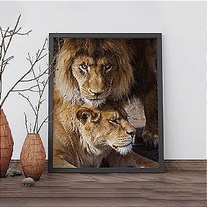 Quadro Decorativo Animais Casal de Leões