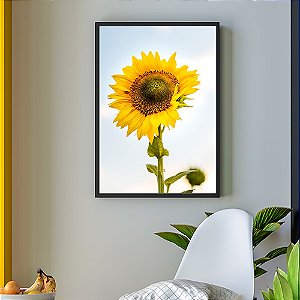 Quadro Decorativo Girassol