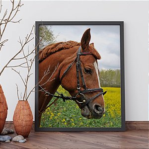 Quadro Decorativo Animais Cavalo