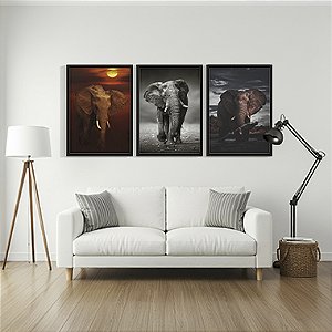 Quadro Decorativo Animais Trio Elefante