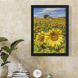 Quadro Decorativo Paisagem Girassol