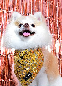 Bandana Pet Paetê Dourado