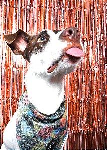 Bandana Pet Paetê Estampada