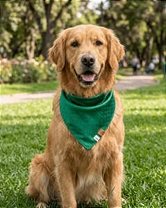 Bandana Pet COLAB BENDOG