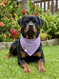 Bandana Pet COLAB BENDOG