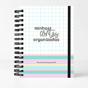 Planner Financeiro Personalizado Contas Organizadas 2026