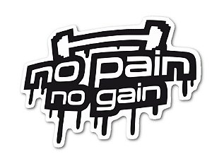 ADESIVO NO PAIN NO GAIN