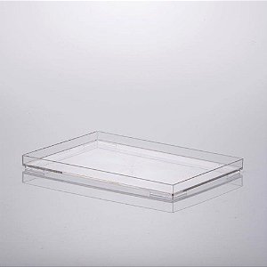 Bandeja LIV 25x17x2cm Cristal - Paramount 1639